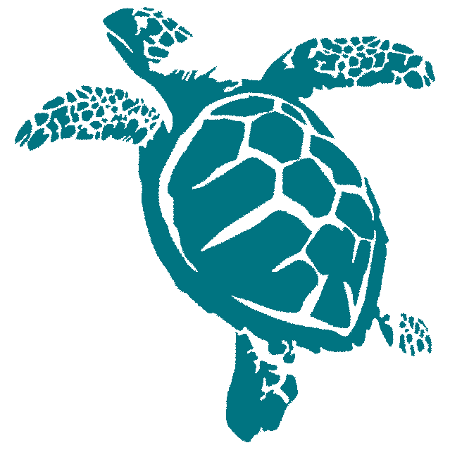 TTM-logo-teal-turtle